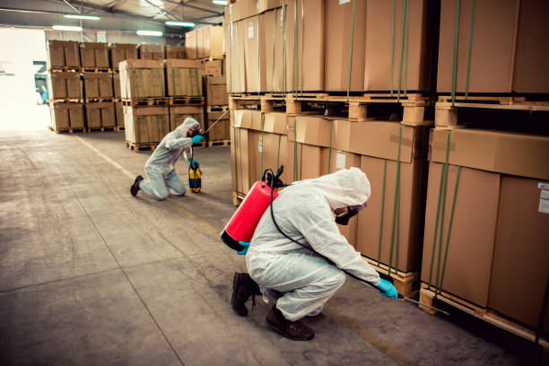Best Cockroach Control Services  in Wells, NV