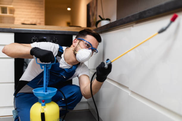 Best Best Pest Control Companies  in Wells, NV