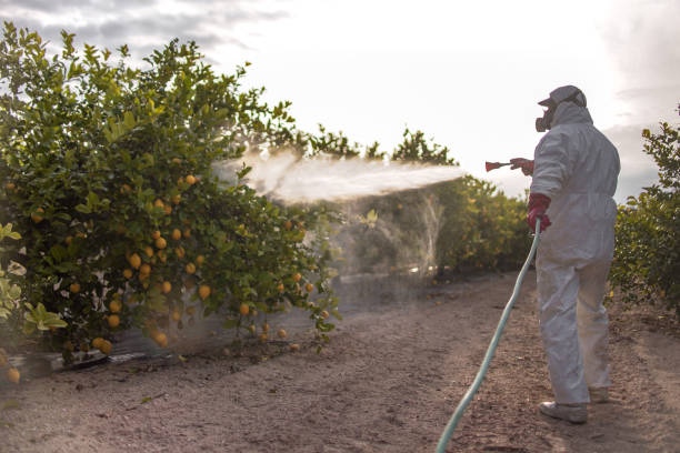 Pest Control Cost in Wells, NV