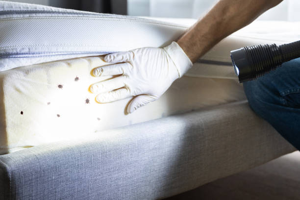 Best Wildlife Control Services  in Wells, NV