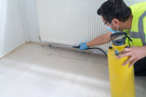 Best Mosquito Control Services  in Wells, NV