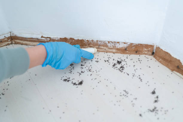 Best Exterminator Services  in Wells, NV