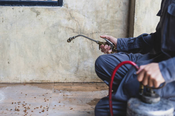 Best Wasp Removal Services  in Wells, NV